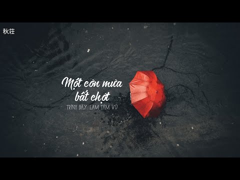 [Vietsub+Pinyin] Một cơn mưa bất chợt (突然一场雨) - Lam Tâm Vũ (蓝心羽)