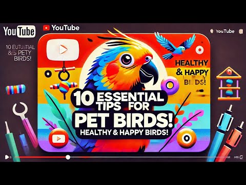 "10 Essential Tips for Caring for Pet Birds: A Comprehensive Guide to Their Health and Well-being"