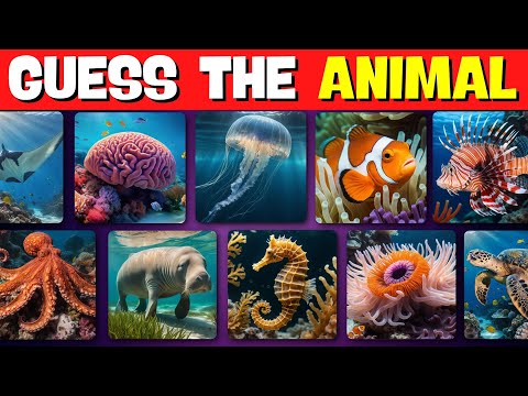 Guess Sea Animals in 5 Seconds 🦑🦈🐋 | Random Quizzes