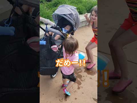 【年子育児】全力で弟を守る、弟ラブな姉 #shorts #年子 #思い出 #赤ちゃん