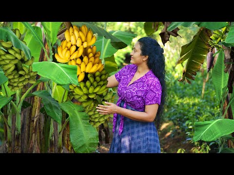 Delicious sweets from my father's banana harvest | Poorna - The nature girl