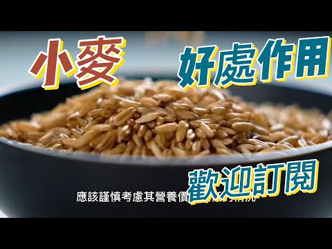 EP158 小麥（Wheat）的好處與作用 提供能量 包括維生素B群（如維生素B1、B2、B3和B6