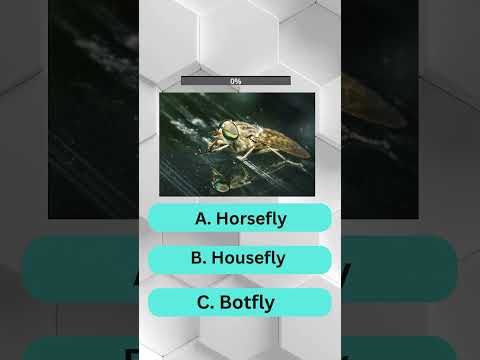 Epic Insect Quiz Challenge! Part 2 #viral #quiz #trending #shorts