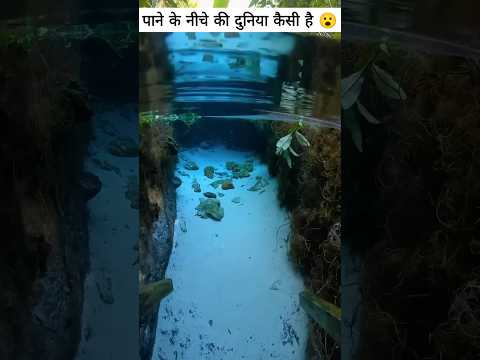 पानी के नीचे की दुनिया😮 #vikasonfacts #facts #underwaterworld #mystryofocean #ocean