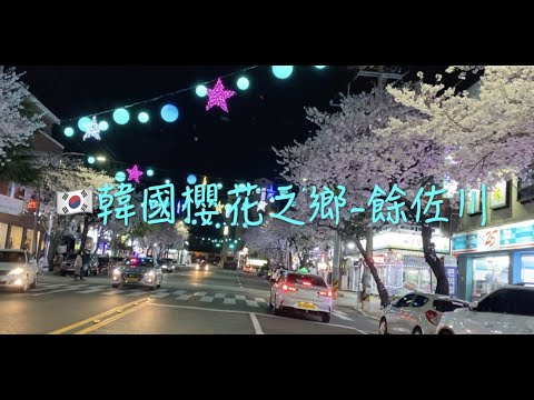 🇰🇷 韓國櫻花之鄉—— 鎮海餘佐川