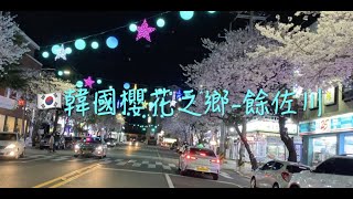 🇰🇷 韓國櫻花之鄉—— 鎮海餘佐川