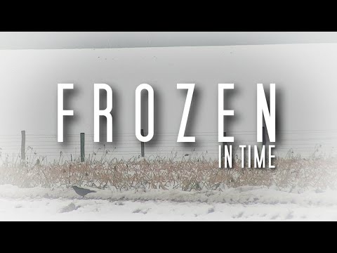 Frozen in Time - Psychological Horror (2 minutes)