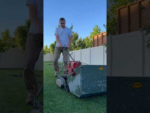 Lawn leveling update pt 11 #lawnlife #lawncare #lawn #lawnleveling #lawnmaintenance