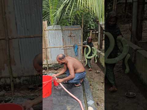 Fake Big King Cobra Snake Prank For Funny | Sagor Bhuyan