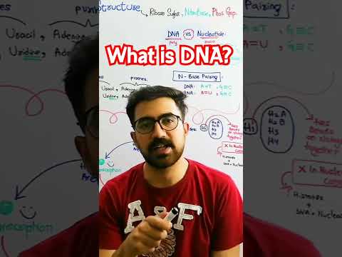 What is DNA? #biochemistry #usmlestep1 #biology #usmlestep2 #science #usmlestep #neet #usmlestep3