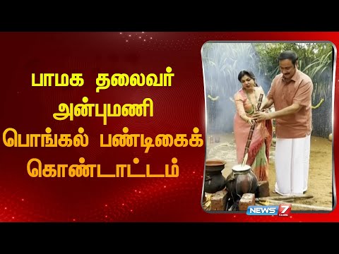 பாமக தலைவர் அன்புமணி பொங்கல் பண்டிகைக் கொண்டாட்டம் | Pongal Celebration |PMK| Anbumani Ramdoss|