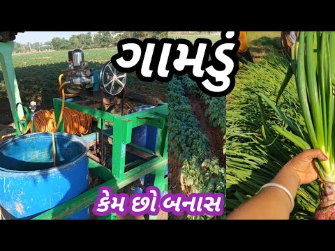 બટાકા ની ખેતી || ગામડું || ગેળા || gela hanumanji | gamdu Villagelife #vlog #vlogging #villagelife