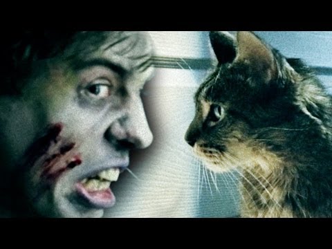 Cats vs Zombies - Feeding Your Cat In The Zombie Apocalypse