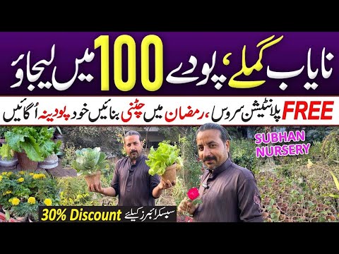 Plantation In Pakistan | GO GREEN PAKISTAN | SUBHAN NURSERY | FREE Plantation Imran Sahil