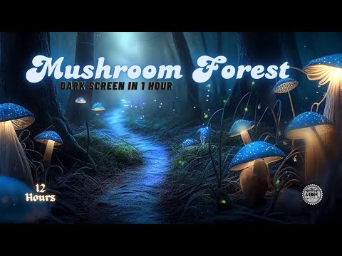 Mushroom Forest ⨀ Original Ambient Music for Deep Sleep ⨀ Ethereal Soundscape for Relaxation