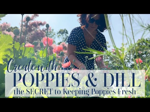 The Secret to Keeping Poppies Fresh | 🌸POPPIES & DILL ARRANGEMENT🌸 How to Cauterize Poppies