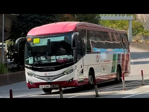 中旅社 平治菠蘿 Marcopolo Benz 旅遊巴士 ZU2385