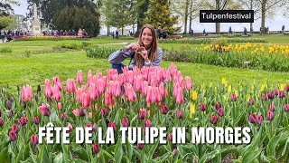 Fête de la Tulipe, Tulpenfest in Morges | Waadt | Schweiz | VLog