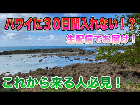 【コロナウイルス速報】ハワイに30日間入ってはいけない！？