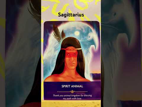 Sagittarius / Angels are sending you love and blessings through animals #angelcards