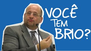 Motivação para estudar (BRIO) | Clóvis de Barros |