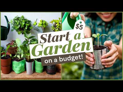 How to Start a Sustainable Home Garden on a Small Budget: Beginner-Friendly Tips!