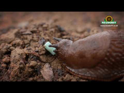 Sluggo® Organic Slug Control Pellets