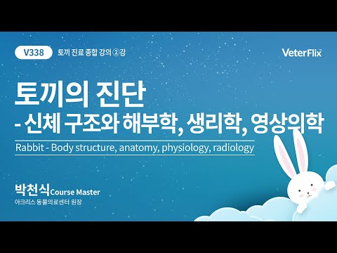 [베터플릭스][토끼 종합 진단 과정] 토끼의 신체 구조와 해부학, 생리학, 영상의학(Rabbit-Body structure,anatomy,physiology,radiology)