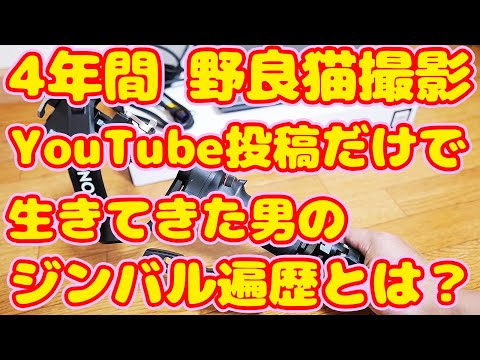 ４年間 野良猫撮影 YouTube投稿だけで生きてきた男のジンバル遍歴とは？ LeicaQ3で収録