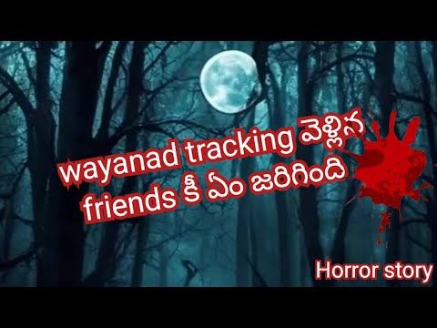 wayanad tracking లో జరిగిన real horror story | horror stories in telugu || horror story