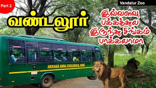 வண்டலூருக்கு போனால் இதை பார்க்க மறந்துடாதீங்க Lion Safari in Vandalur Zoo | Chennai zoo Lion & Deer