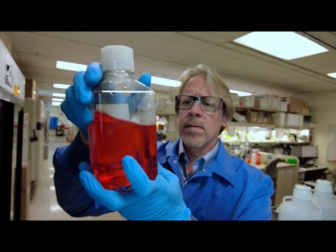 Mayo Clinic Minute - How personalized vaccines target cancer tumors