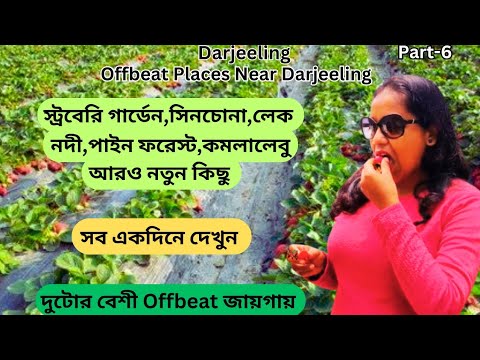 Darjeeling,#part6.Offbeat places near darjeeling.darjeeling offbeat places.offbeat darjeeling.