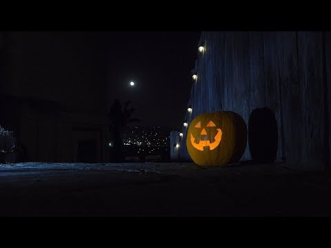 Halloween Pumpkin 4K