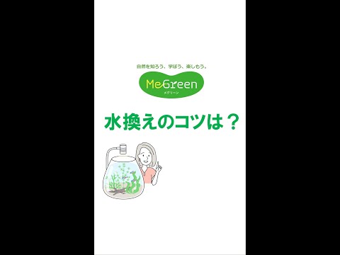 MeGreen の水換え