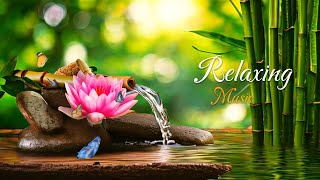 Peaceful Sanctuary 🌺 Ambient Sounds for Stress Relief and Clarity