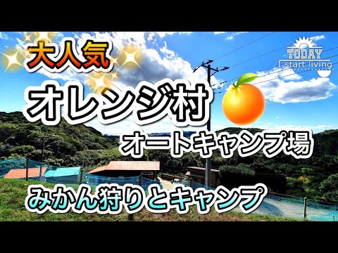 【千葉】みかん狩りができるキャンプ場。オートなのに安い！オレンジ村オートキャンプ場！千葉県、大多喜町、関東、格安、無料キャンプ場、房総