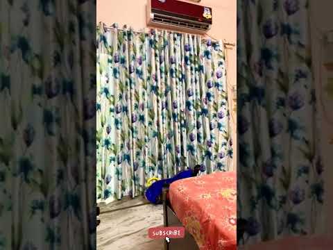 Curtain Design Option-3 #shorts #curtains #homedecoration