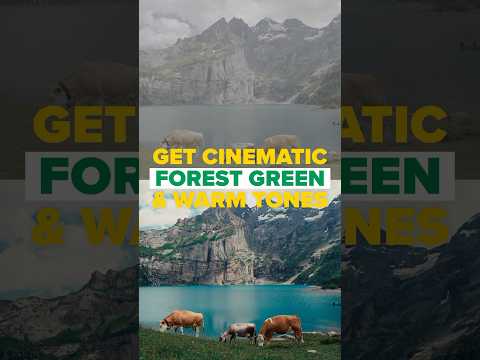 Get cinematic Forest Green & Warm Tones