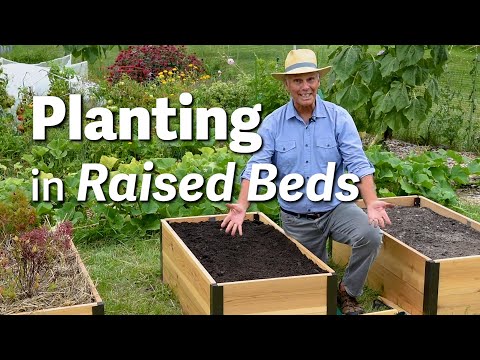 Planting in Raised Beds