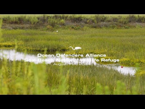 Seal Beach National Wildlife Refuge Cleanup