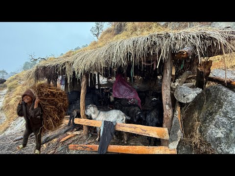 This is Himalayan Very Relaxing Nepali Mountain Village Lifestyle | Rain Season Time |