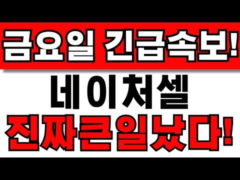 [네이처셀 주가전망] 주주님들 필수시청! 앞으로 이렇게 대응하세요