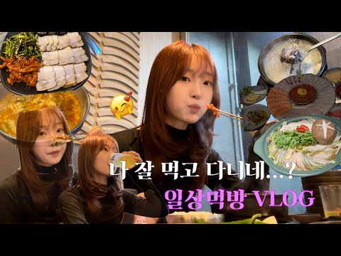 일상먹방vlog | 술도 음식도 잘 먹고 다닌 한주였다...🤭 육개장 초보의 육개장 도전기❗️