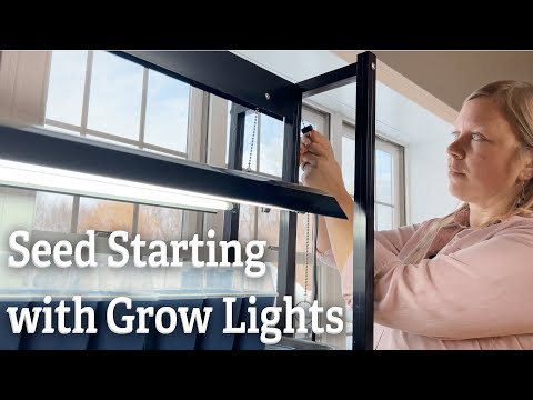 Grow Light Education Series: Seed Starting with Grow Lights