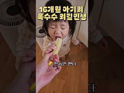 🌽 욤뇸뇸, 우리집에는 옥수수 귀신이 산다 #16개월아기 #육아 #아기먹방