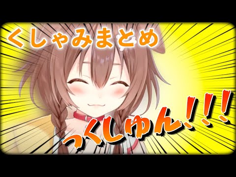 【まとめ】ころさんの“くしゃみ”集めてみた【切り抜き/戌神ころね】