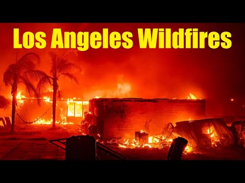 Los Angeles Wildfires: A Fast-moving Fire Broke Out In The Hollywood Hills