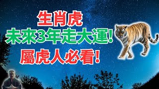 生肖虎，命理推算：未來3年你要走大運！吉星高照，一路上升，財多福多、驚喜連連！屬虎人必看！ #生肖虎2025年運勢 #生肖虎2025年運程 #屬虎人2025年運勢 #屬虎人2025年運程