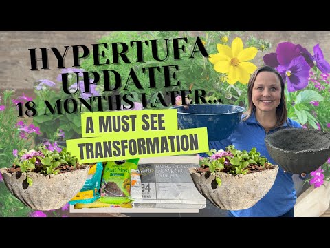 Hypertufa Planters 18 Months Later: DIY Results & Step-by-Step | The Southern Daisy